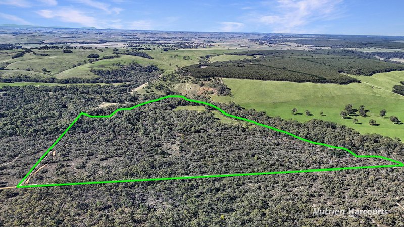 Photo - 210 Chapmans Road, Bahgallah VIC 3312 - Image 28
