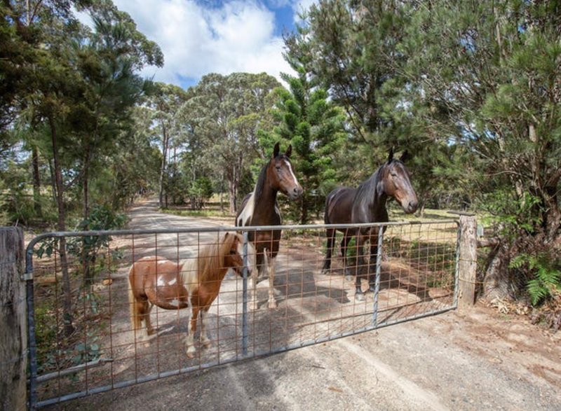 Photo - 210 Hanging Rock Road, Sutton Forest NSW 2577 - Image 9