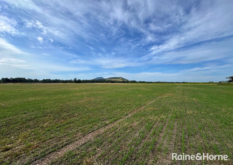 Photo - 210 Jennings Lane, Bolong NSW 2540 - Image 12
