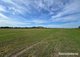 Photo - 210 Jennings Lane, Bolong NSW 2540 - Image 12