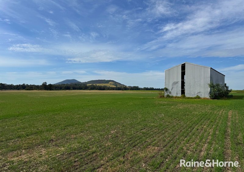 Photo - 210 Jennings Lane, Bolong NSW 2540 - Image 15