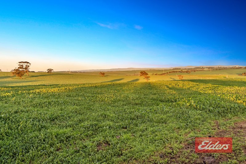 Photo - 210 Sturt Highway, Kingsford SA 5118 - Image 3