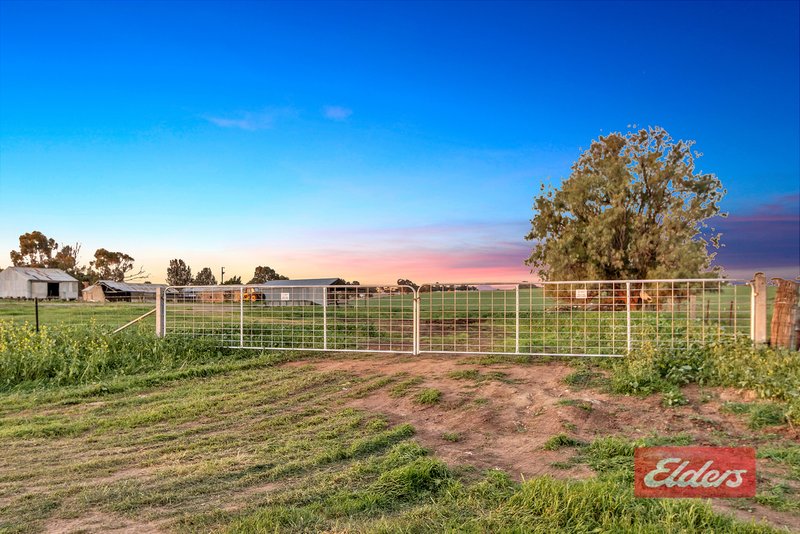 Photo - 210 Sturt Highway, Kingsford SA 5118 - Image 19