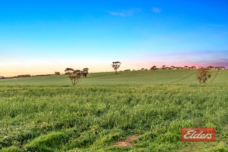 Photo - 210 Sturt Highway, Kingsford SA 5118 - Image 20