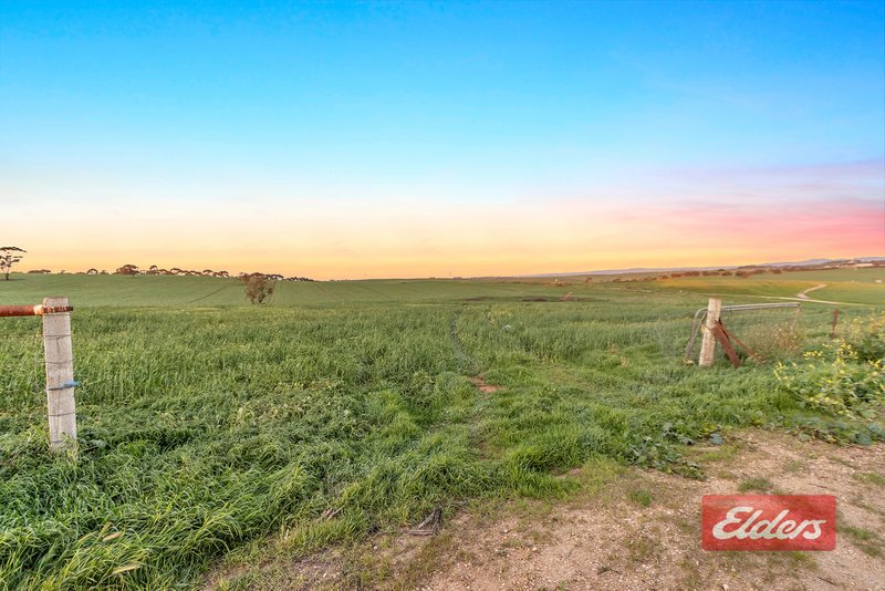 Photo - 210 Sturt Highway, Kingsford SA 5118 - Image 22