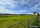 Photo - 210a Jennings Lane, Bolong NSW 2540 - Image 4
