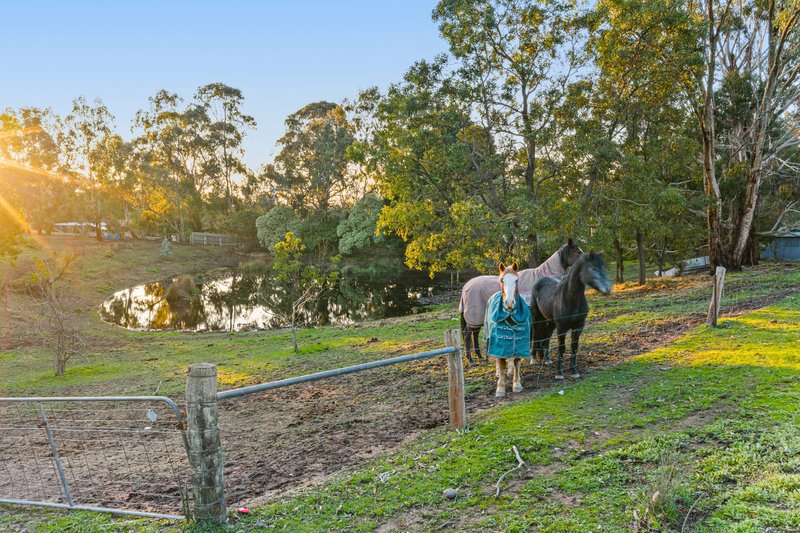 Photo - 211 Aubreys Road, Magpie VIC 3352 - Image 22