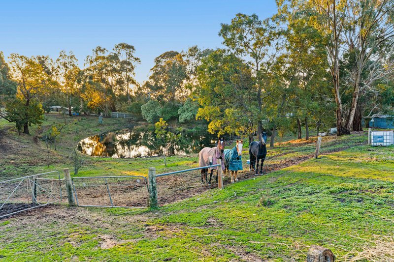 Photo - 211 Aubreys Road, Magpie VIC 3352 - Image 23