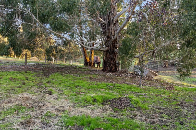 Photo - 211 Aubreys Road, Magpie VIC 3352 - Image 24