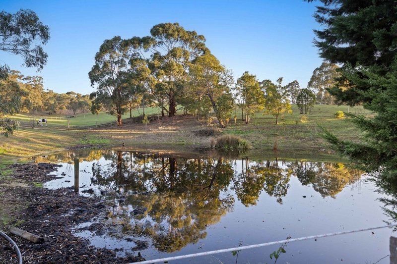 Photo - 211 Aubreys Road, Magpie VIC 3352 - Image 25