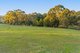 Photo - 211 Aubreys Road, Magpie VIC 3352 - Image 27