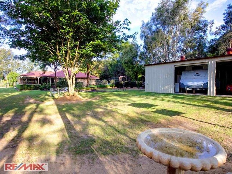 Photo - 211 Bigmor Drive, Elimbah QLD 4516 - Image 19