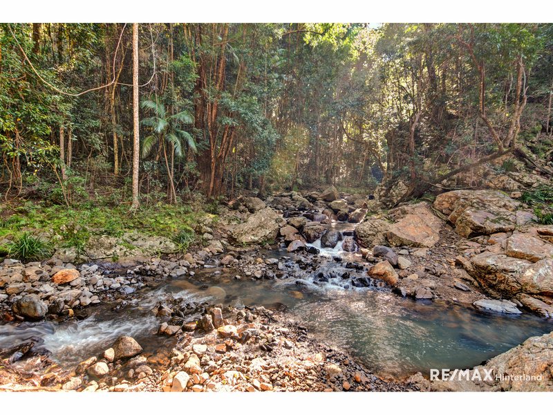 Photo - 211 Bridge Creek Road, Maleny QLD 4552 - Image 4