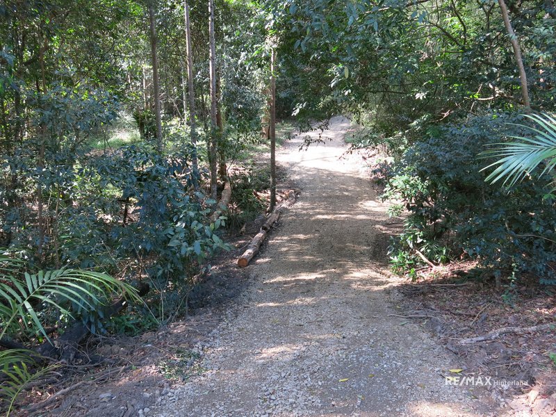 Photo - 211 Bridge Creek Road, Maleny QLD 4552 - Image 6