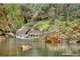Photo - 211 Bridge Creek Road, Maleny QLD 4552 - Image 12