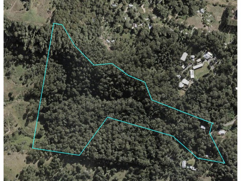 Photo - 211 Bridge Creek Road, Maleny QLD 4552 - Image 33