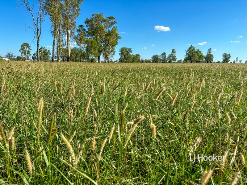 Photo - 211 Bungeworgorai Lane, Roma QLD 4455 - Image 13