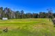 Photo - 211 Dwyer Road, Leppington NSW 2179 - Image 18