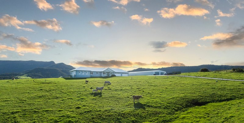 Photo - 211 Minnamurra Lane, Jamberoo NSW 2533 - Image 24