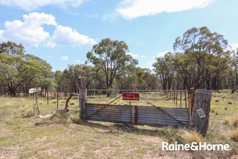 211 Pine Ridge Road, Rock Forest NSW 2795