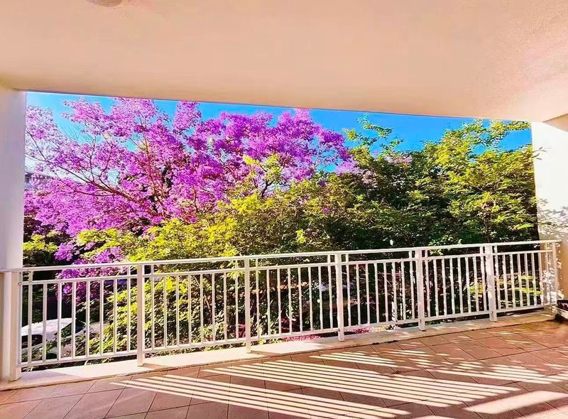 Photo - 211/3 Palm Avenue, Breakfast Point NSW 2137 - Image 14