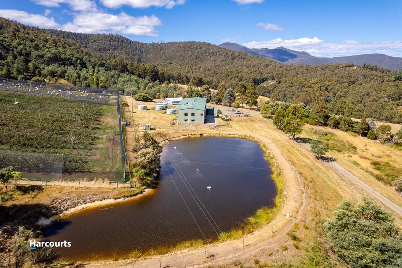 Photo - 212 Clear View Road, Crabtree TAS 7109 - Image 21