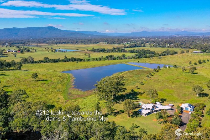 Photo - 212 Clutha Creek Road, Tamborine QLD 4270 - Image 6