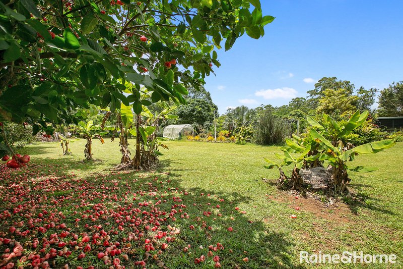 Photo - 212 Forest Acres Drive, Lake Macdonald QLD 4563 - Image 18