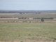 Photo - 212 Petras Road, Karoonda SA 5307 - Image 8