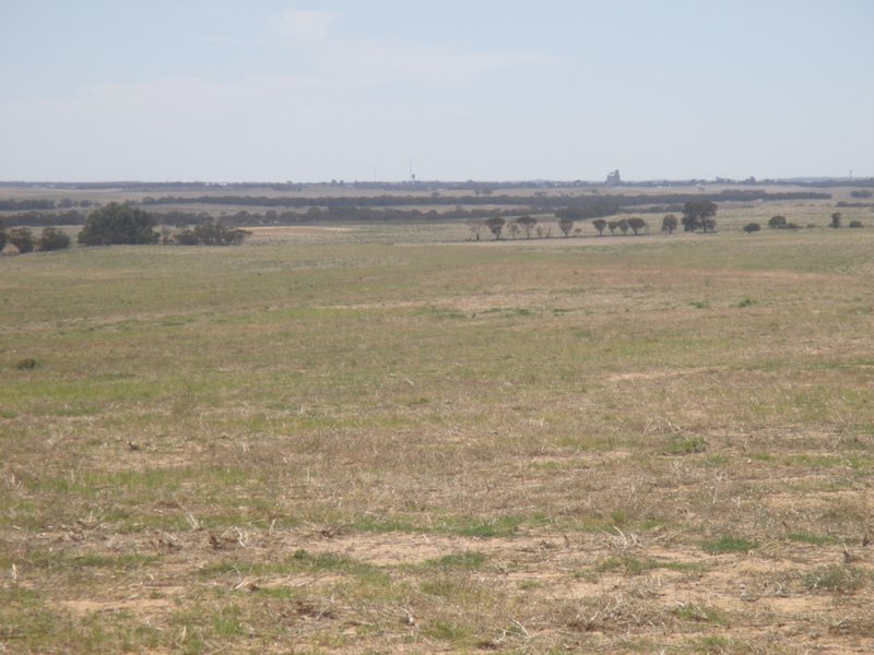 Photo - 212 Petras Road, Karoonda SA 5307 - Image 9