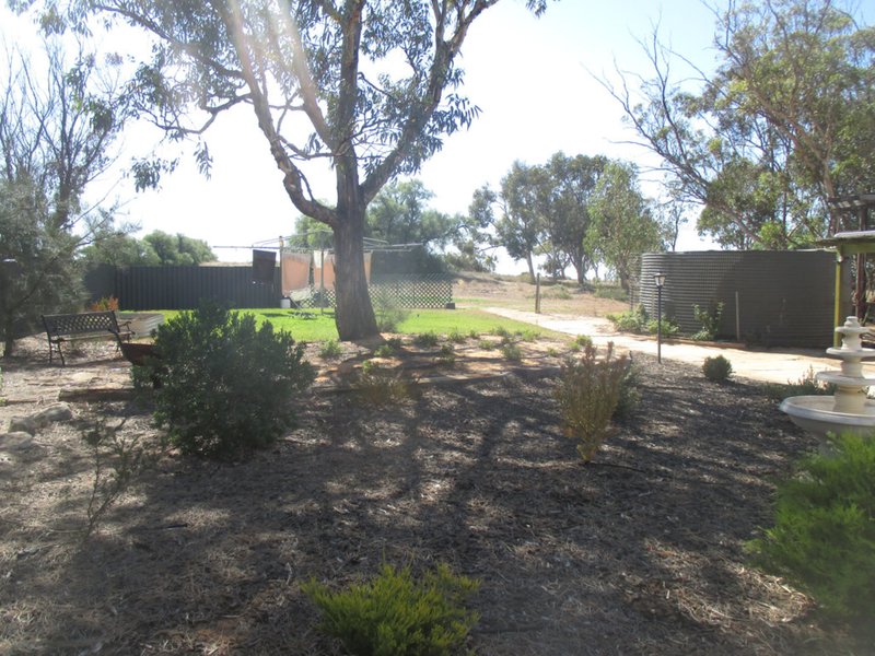 Photo - 212 Petras Road, Karoonda SA 5307 - Image 13