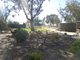 Photo - 212 Petras Road, Karoonda SA 5307 - Image 13