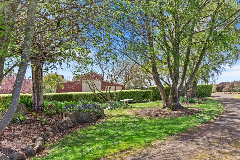 Photo - 212 Weetah Road, Deloraine TAS 7304 - Image 32