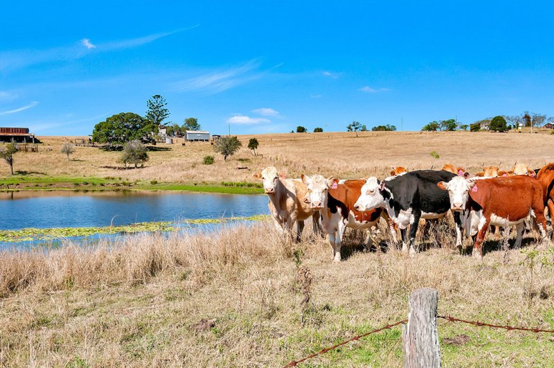 Photo - 213-305 Haigslea-Malabar Road, Haigslea QLD 4306 - Image 2