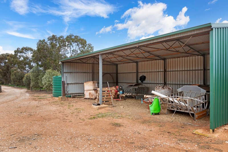 Photo - 213 Hamley Bridge Road, Barabba SA 5460 - Image 20