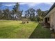 Photo - 213 Kalinda Road, Armidale NSW 2350 - Image 14