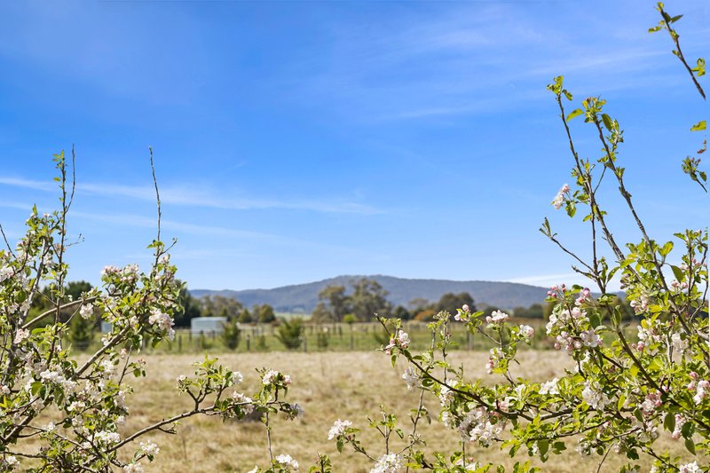 Photo - 213 Northumberland Road, Kyneton VIC 3444 - Image 31