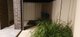 Photo - 2/131 Arthur Street, Magill SA 5072 - Image 23