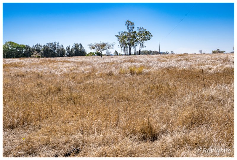 Photo - 2134 Ridgelands Road, Ridgelands QLD 4702 - Image 28