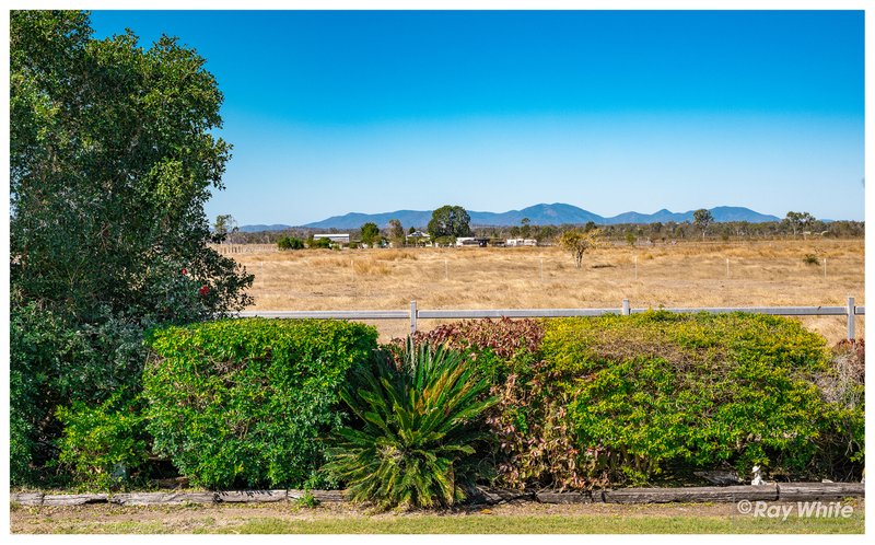 Photo - 2134 Ridgelands Road, Ridgelands QLD 4702 - Image 30