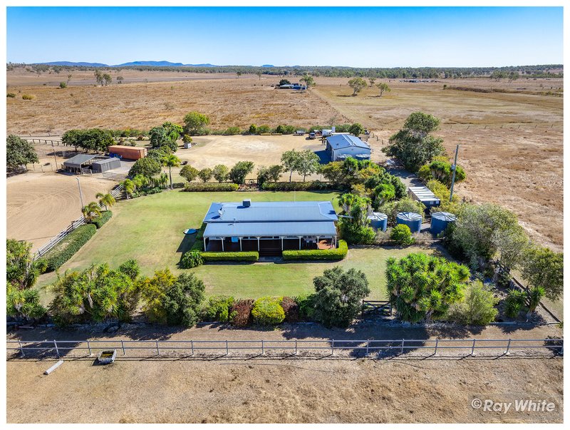 Photo - 2134 Ridgelands Road, Ridgelands QLD 4702 - Image 32