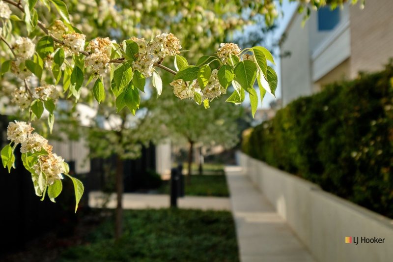 Photo - 21/37 Braybrooke Street, Bruce ACT 2617 - Image 9