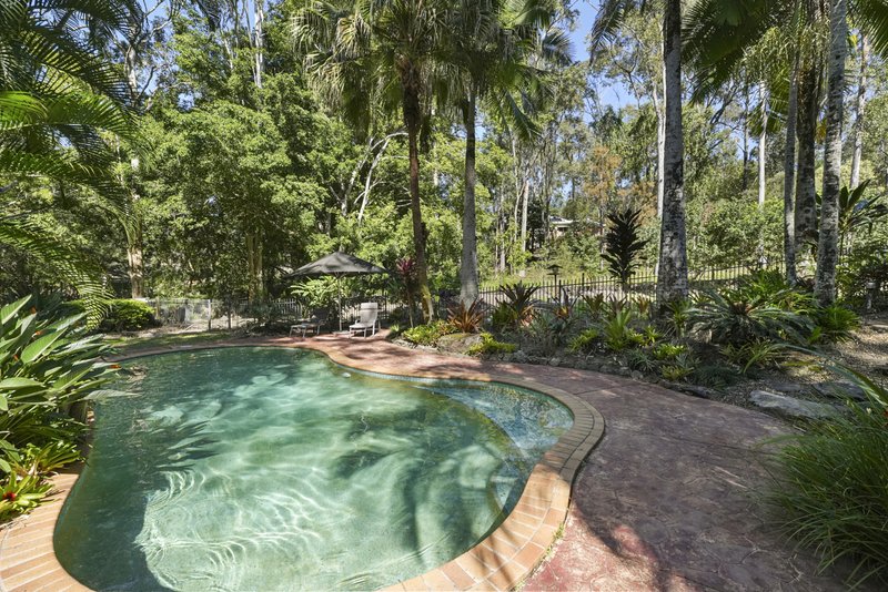 Photo - 214 Crane Crescent, Nerang QLD 4211 - Image 6