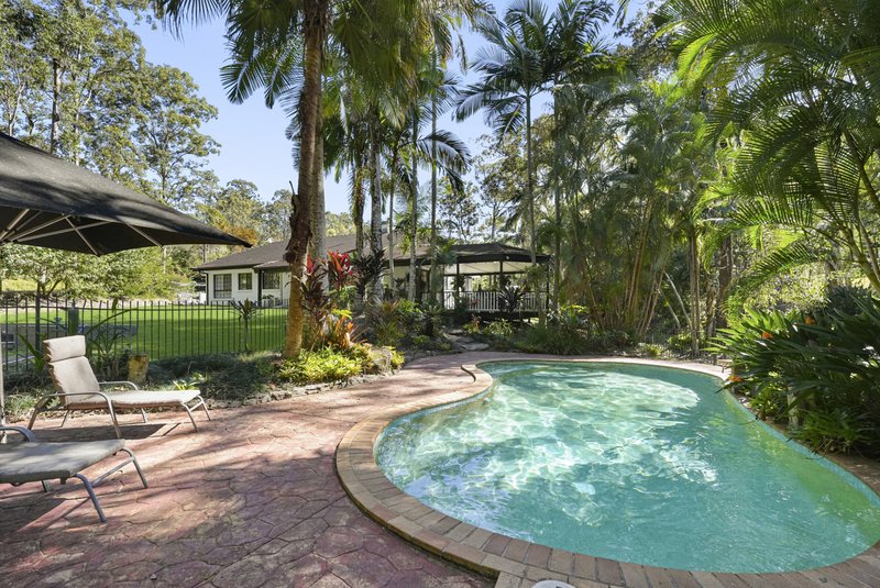 Photo - 214 Crane Crescent, Nerang QLD 4211 - Image 22