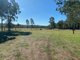 Photo - 214 Home Creek Loop Road, Cushnie QLD 4608 - Image 16