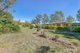 Photo - 214 Horsecamp Road, Horse Camp QLD 4671 - Image 22