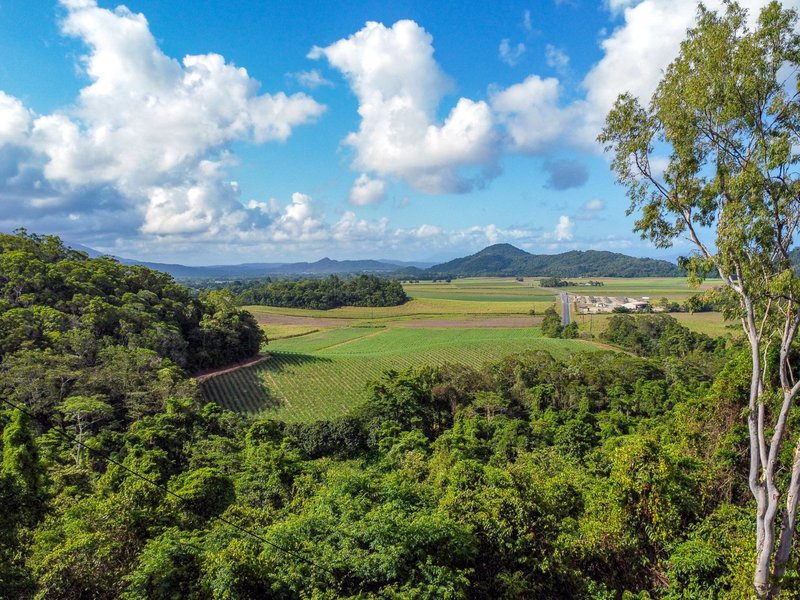 Photo - 214 Mossman Mount Molloy Road, Shannonvale QLD 4873 - Image 14