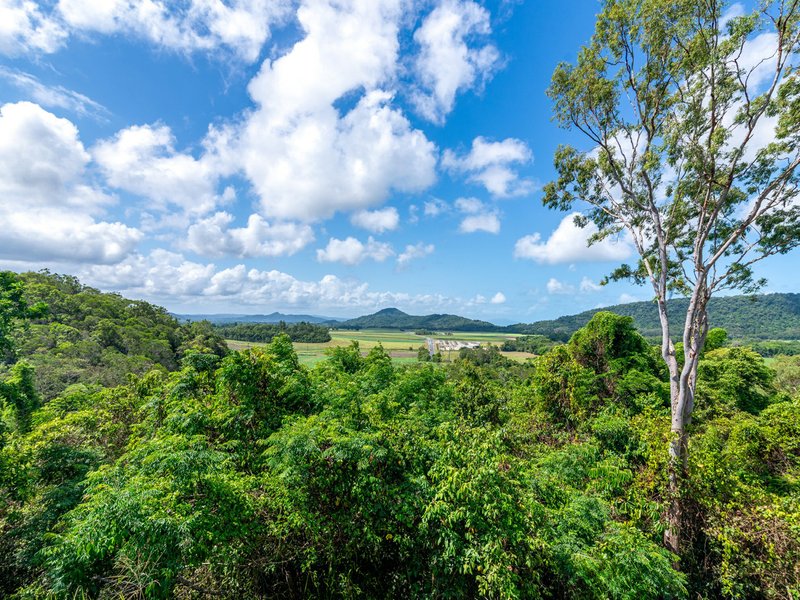 Photo - 214 Mossman Mount Molloy Road, Shannonvale QLD 4873 - Image 25