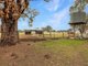 Photo - 214 Reillys Lane, Oxley VIC 3678 - Image 20