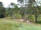 Photo - 214 Stretton Drive, Blackbutt QLD 4314 - Image 10